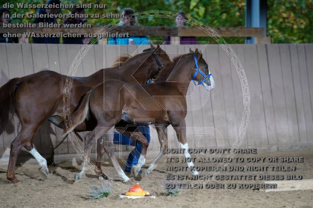 s_K3F04912.JPG